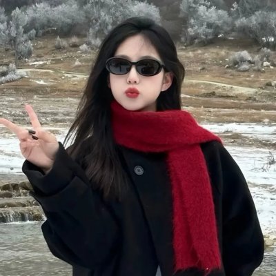 少年四大名捕国语